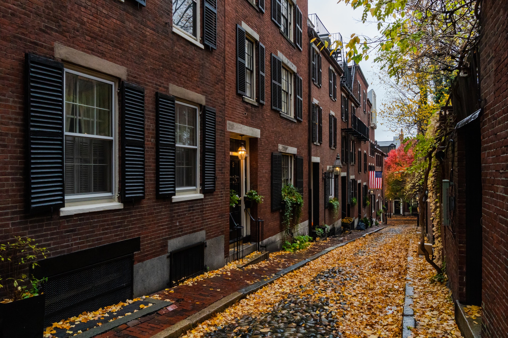 Leaf-covered road in the city of Boston.