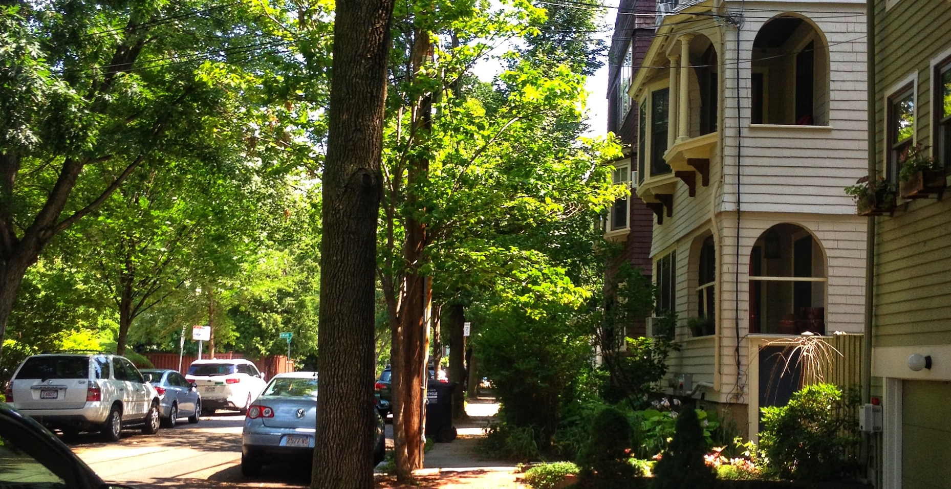 An image of a tree-lined street in Cambridge.